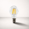 Ampoule LED E27 | A60 Filament Clair 220V