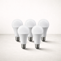 Ampoule LED | Pack 5 Ampoules E27 18W Haute Lumière