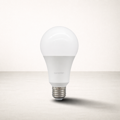 Ampoule LED E27 | Ampoule LED A80 24W Ultra Puissante