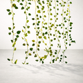 Guirlande LED | Pothos Cascade Déco Murale