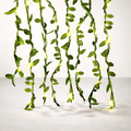 Guirlande LED | Brins Verts Féeriques Scintillants